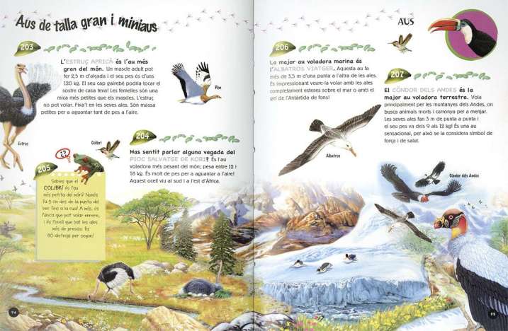 500 preguntes i respostes...