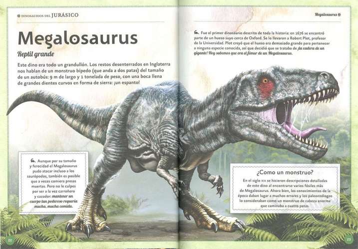 El magnífico libro de los...