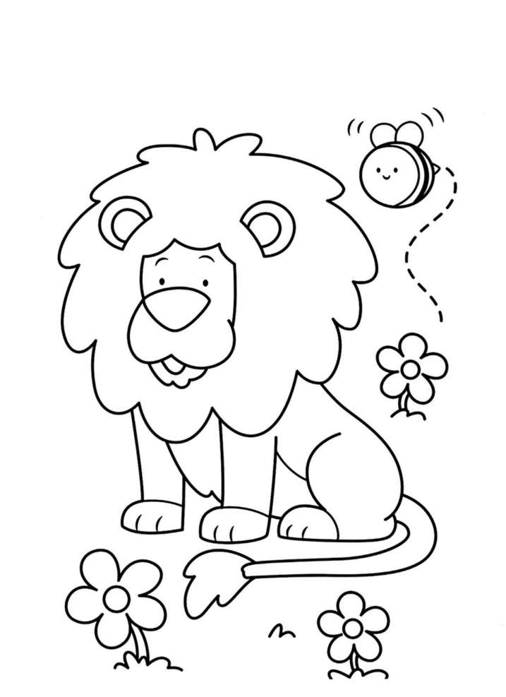 El meu primer llibre per a...