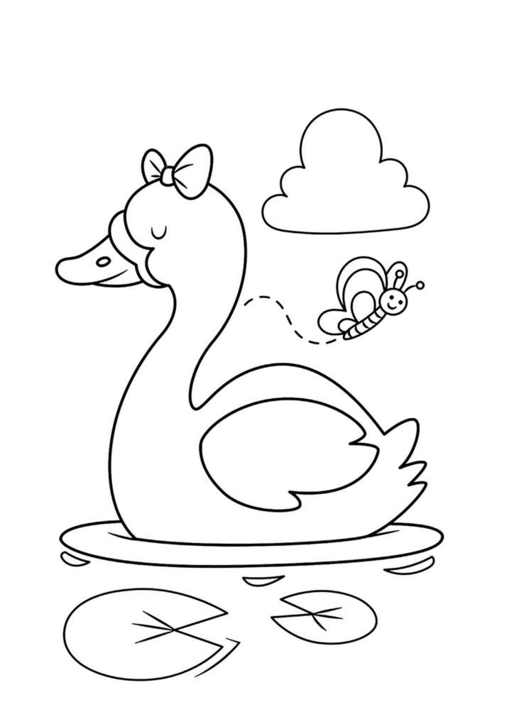 El meu primer llibre per a...