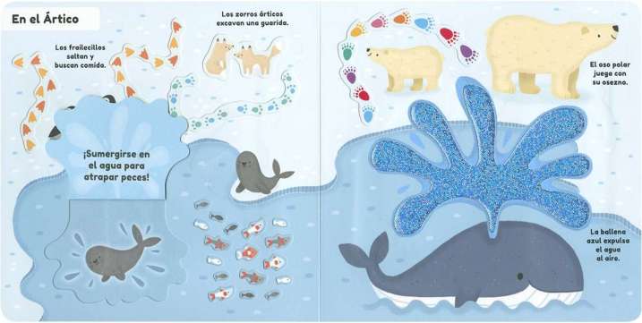 Aletas, patas y garras