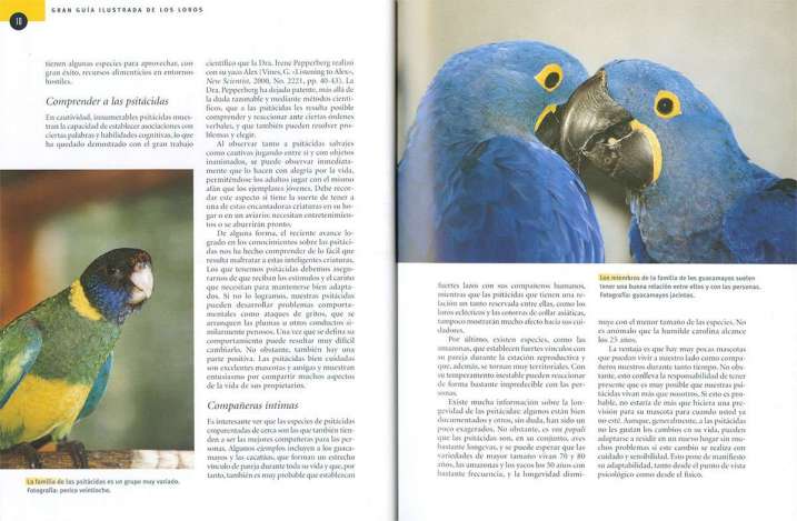 Guía ilustrada de los loros