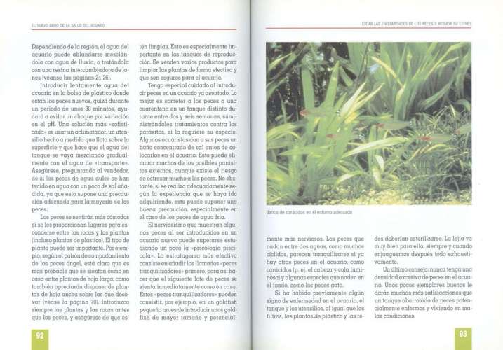 La salud del acuario