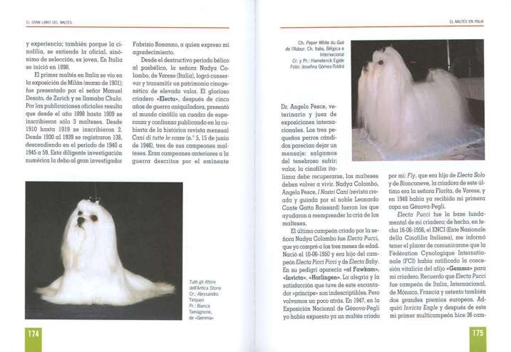 El gran libro del maltés