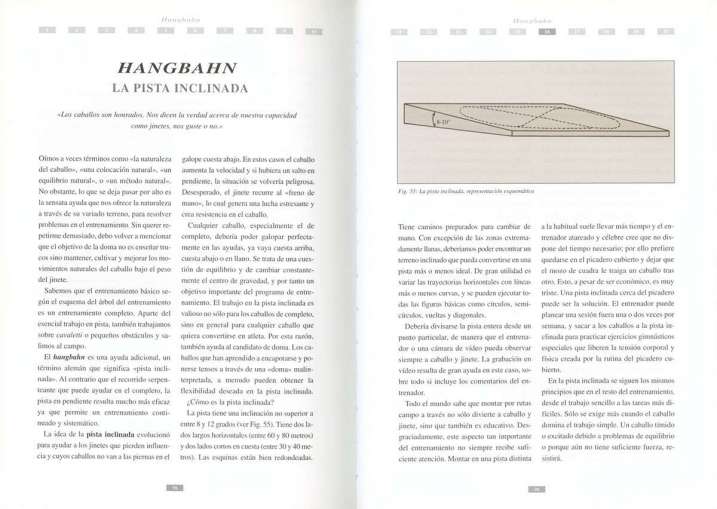 Elementos de doma, guía...