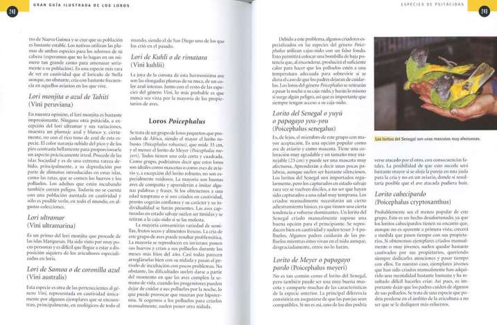 Guía ilustrada de los loros