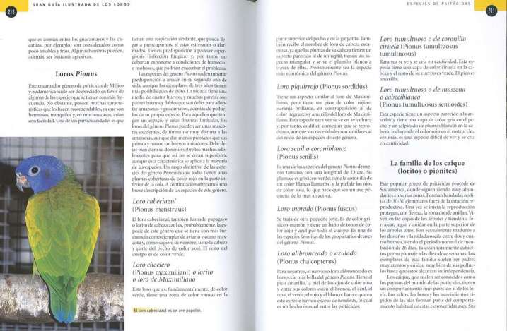 Guía ilustrada de los loros