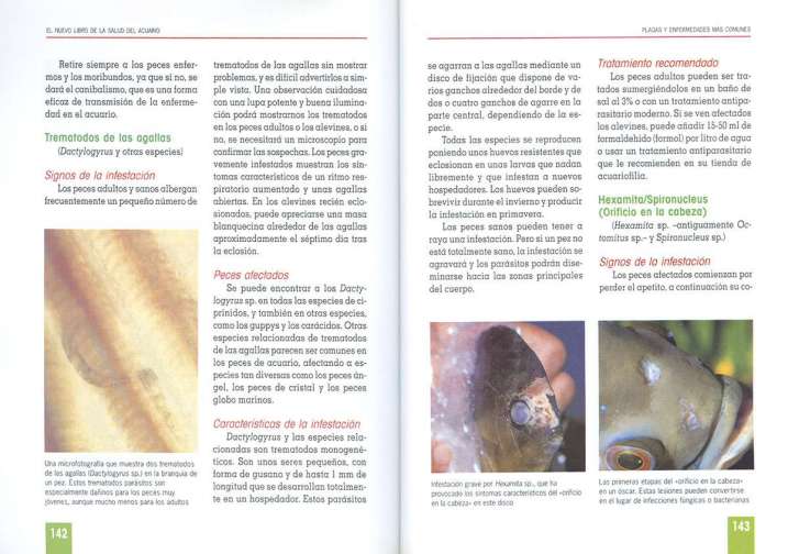 La salud del acuario