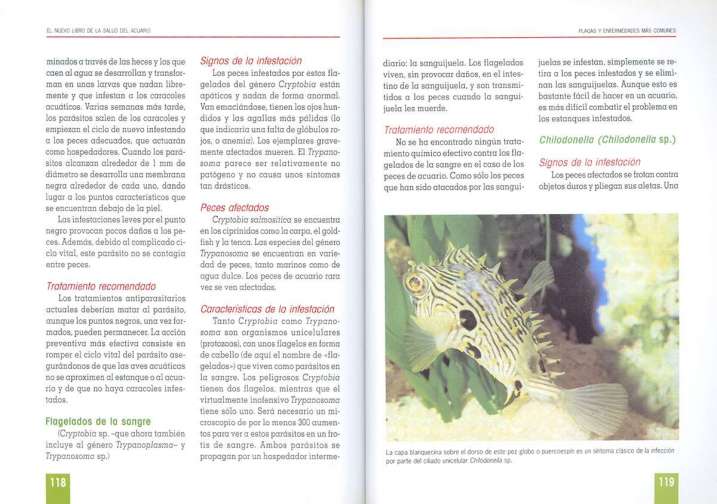 La salud del acuario