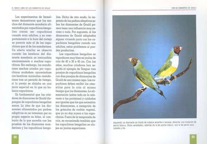 Diamantes de Gould