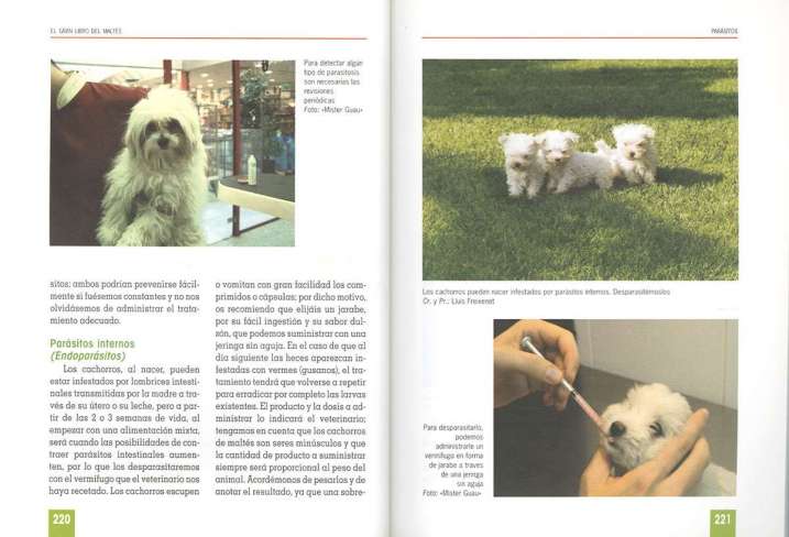 El gran libro del maltés