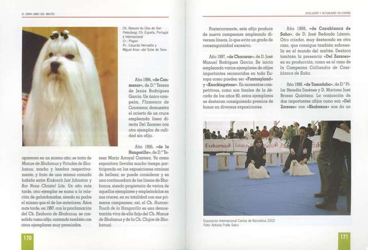 El gran libro del maltés