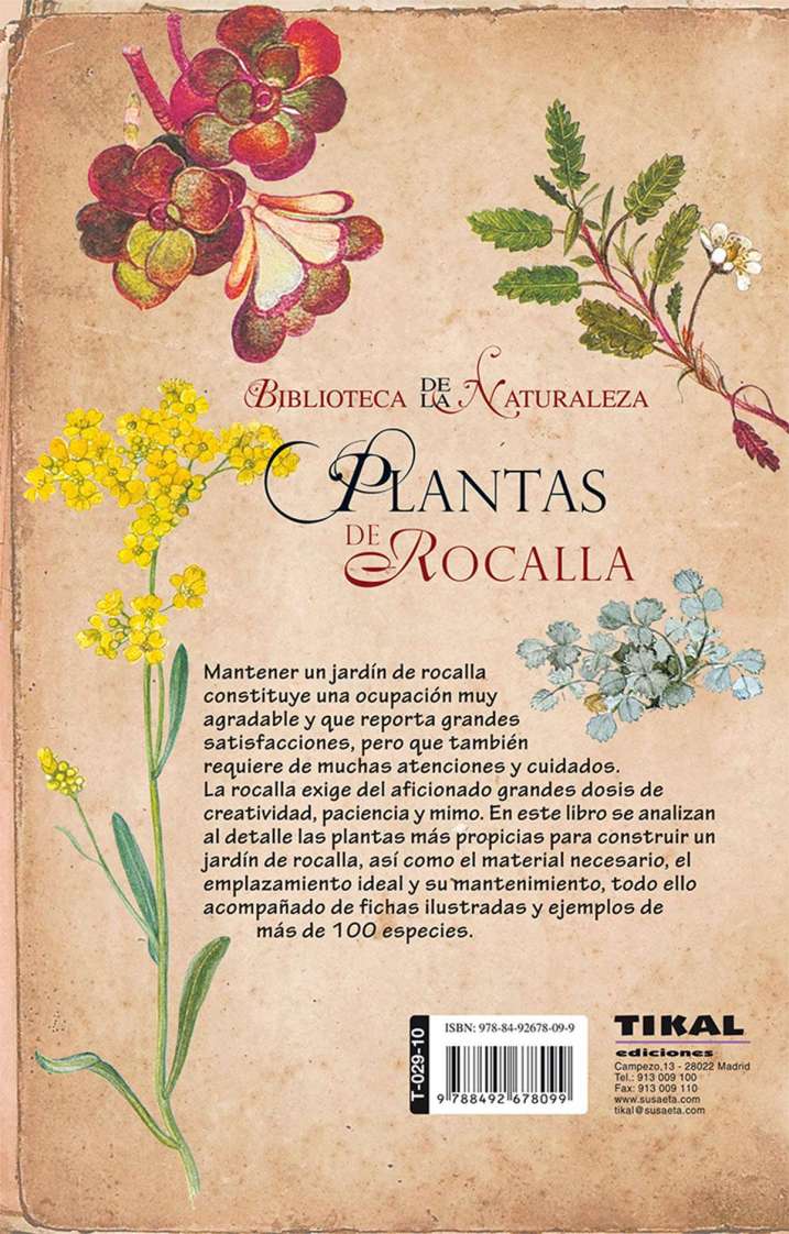 Plantas de rocalla