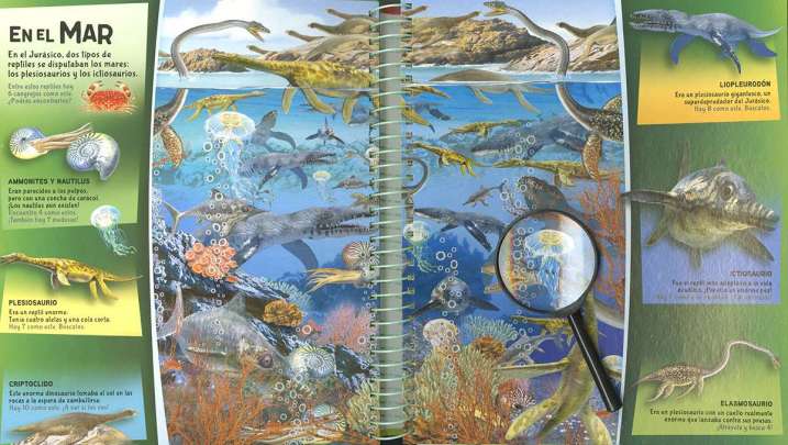 Busca y descubre dinosaurios