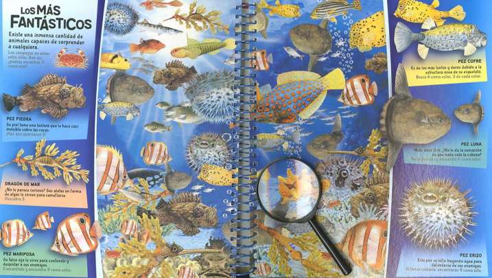 Busca y descubre animales...