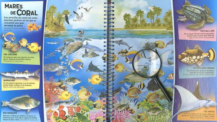 Busca y descubre animales...