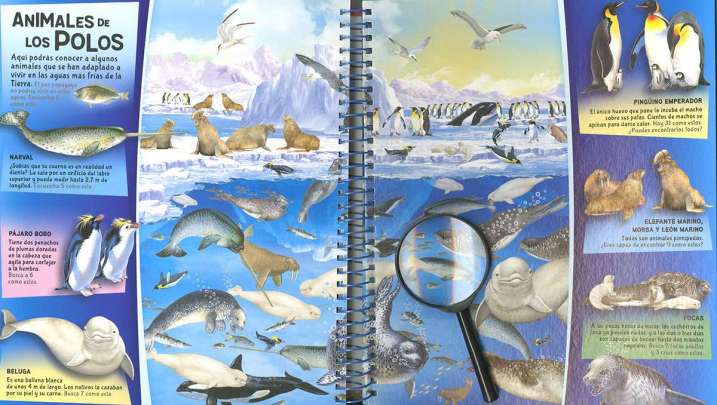 Busca y descubre animales...