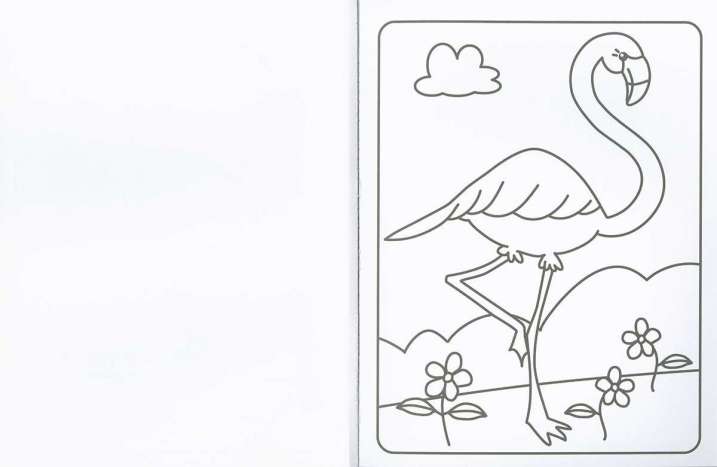 Colorea flamencos