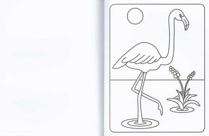 Colorea flamencos