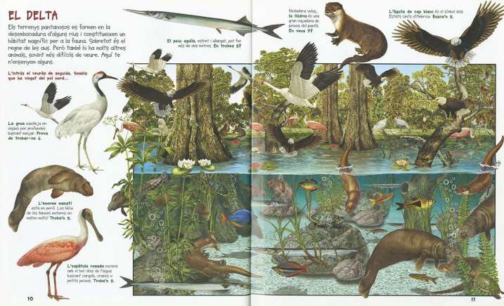 Busca els animals de la terra