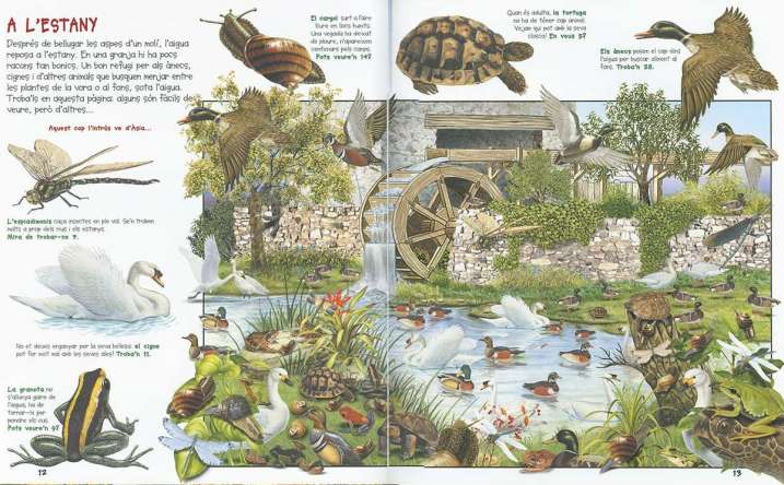 Busca els animals de la granja