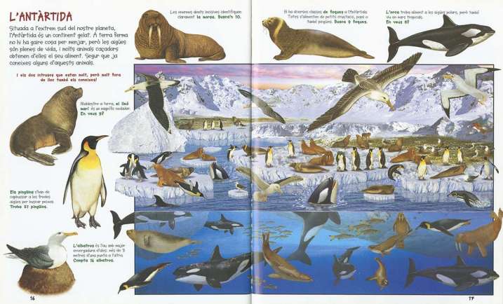 Busca els animals de la terra