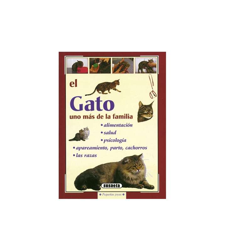 El gato