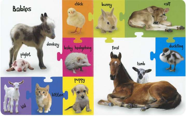 Farm and field animals