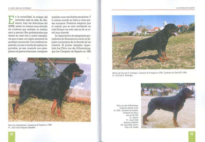 Rottweiler