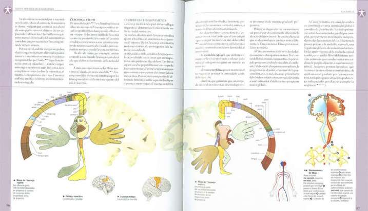 Atles il-lustrat d'anatomia
