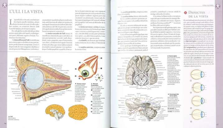 Atles il-lustrat d'anatomia