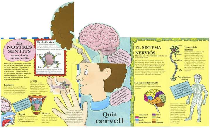 Joves exploradors. Cos HumÃ 