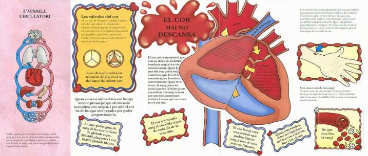 Joves exploradors. Cos HumÃ 