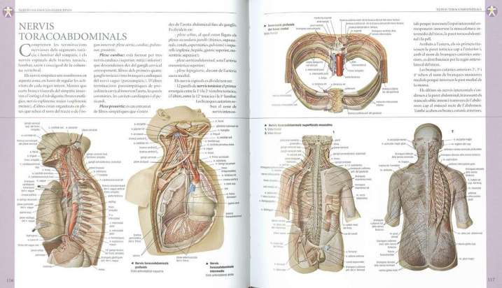 Atles il-lustrat d'anatomia