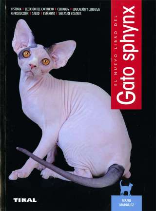 El gato sphynx