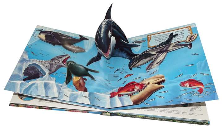 Escucha los sonidos del mar