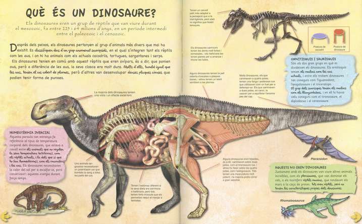 L´era dels dinosaures