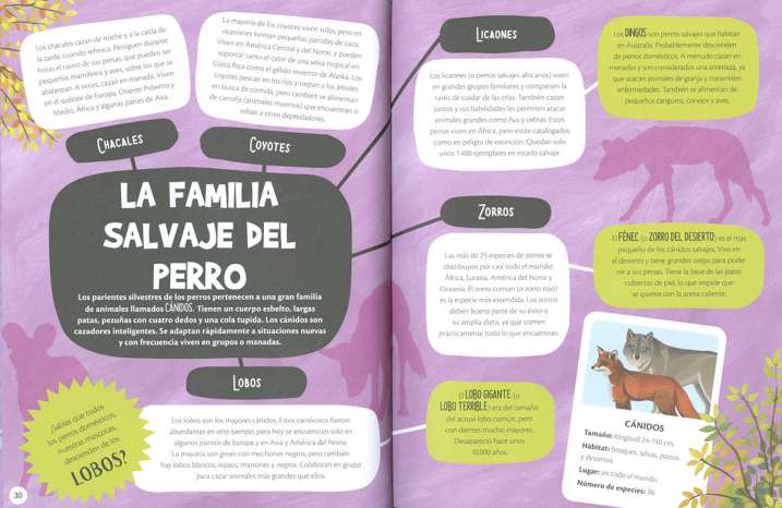 Animales superhéroes