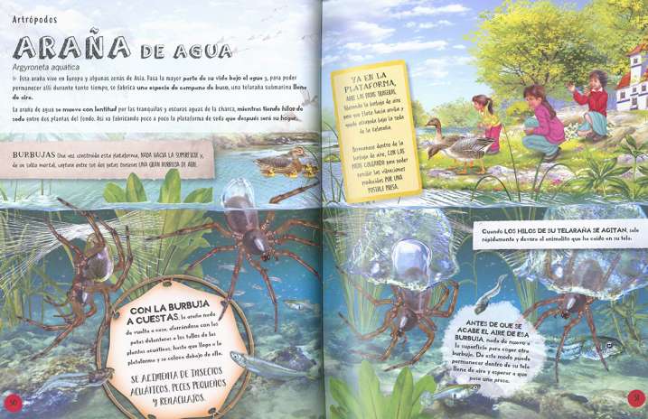 Animales constructores