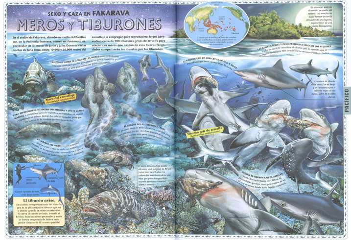 Atlas de los océanos