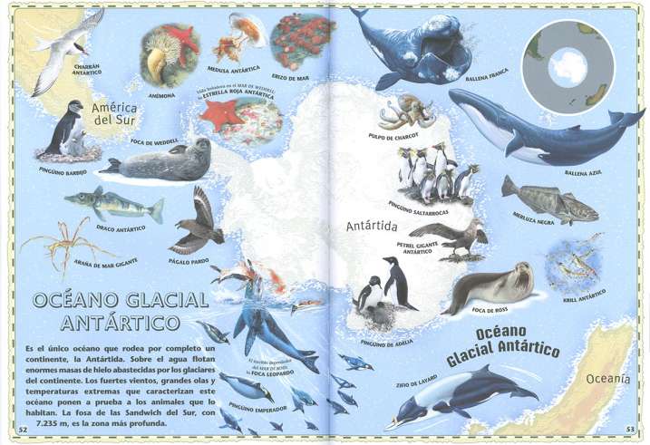 Atlas de los océanos