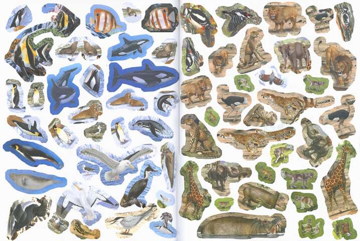 1000 animalia bilatu