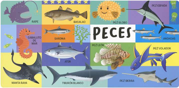 101 imágenes del mar