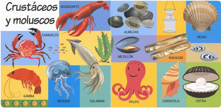 101 imágenes del mar