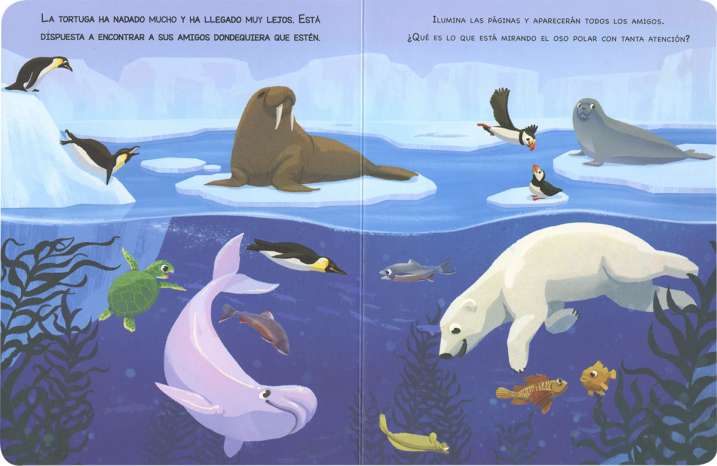 Animales del mar