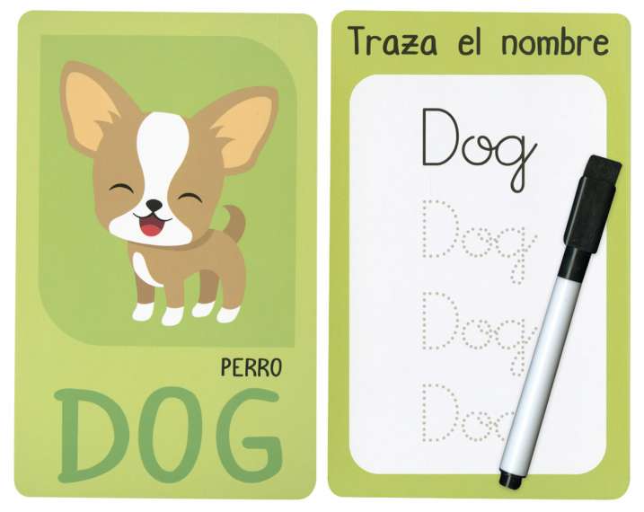 Aprendo inglés fácil. Animales