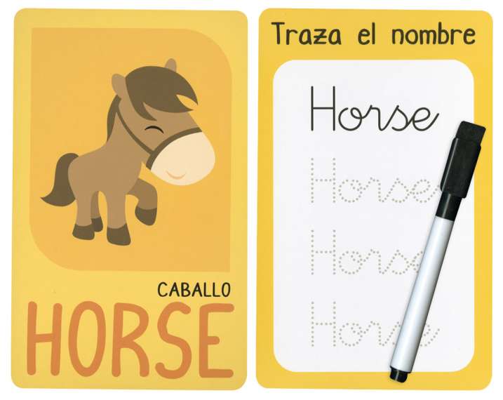 Aprendo inglés fácil. Animales