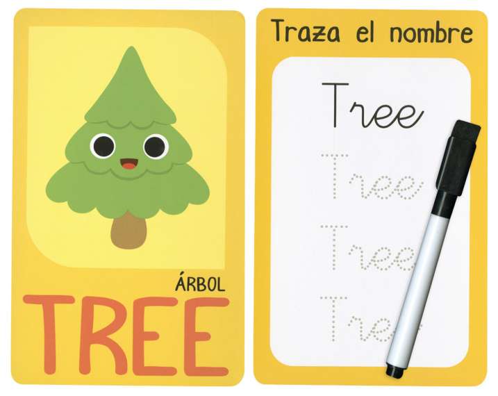 Aprendo inglés fácil. Palabras