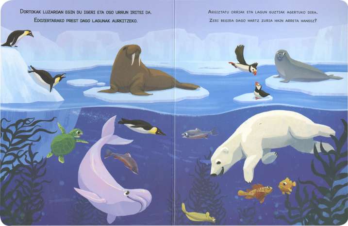 Itsasoko animaliak