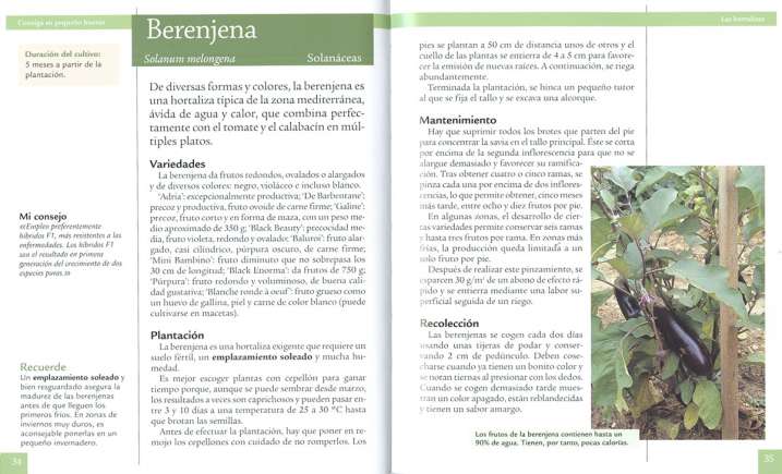 Consiga su pequeño huerto